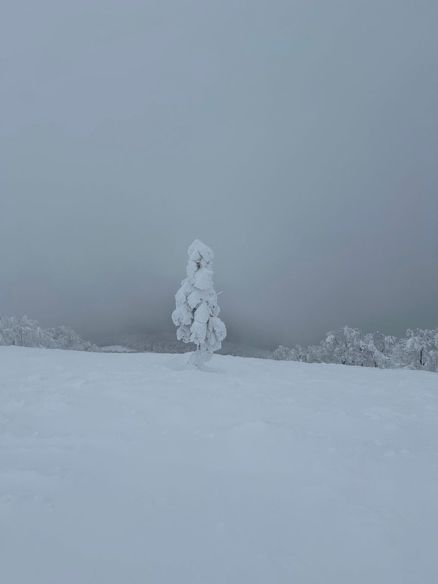 森吉山の樹氷